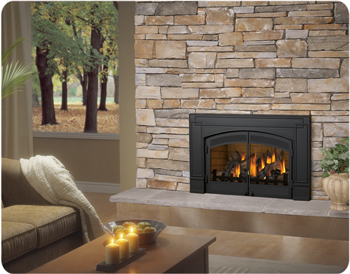 GAS STOVES, FIREPLACE GAS INSERTS,VENTED, VENT FREE