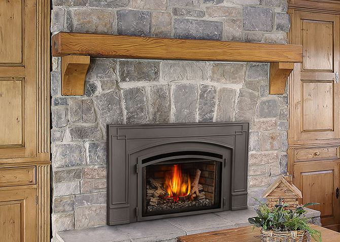 The Fireplace Shop and Grill Center at West Sport - Fireplace Insert