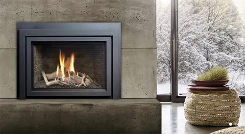 The Fireplace Shop and Grill Center at West Sport in Sudbury - Direct Vent Gas Fireplace Insert