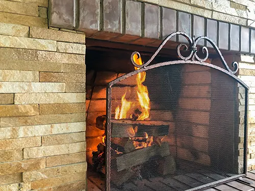 The Fireplace Shop & Grill Center - Fireplace